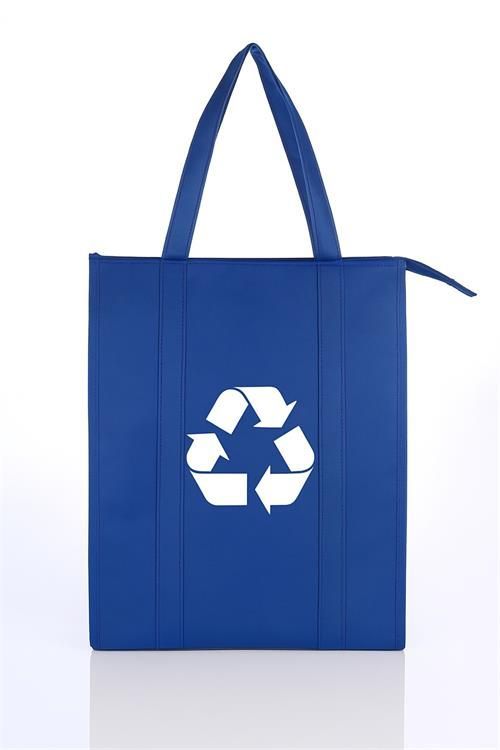 Insulated Cooler Tote with Reinforced Handles and Bottom
